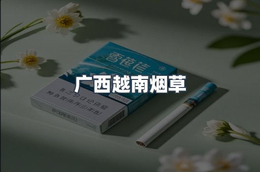 广西越南烟草